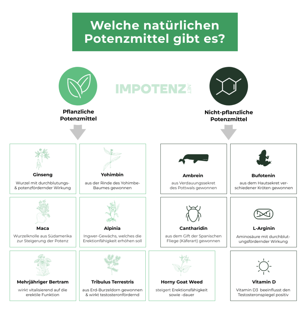 natuerliche-potenzmittel