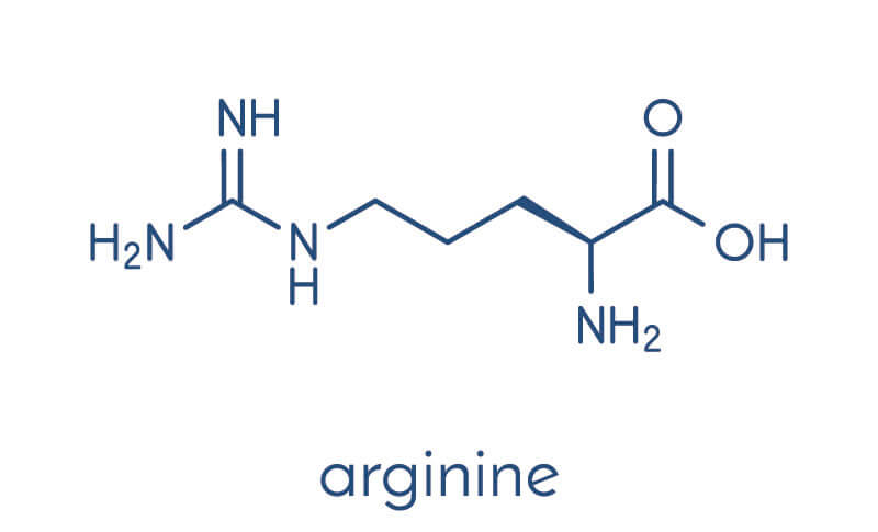 arginin-wirkung