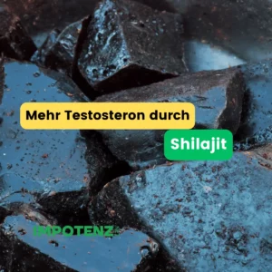 impotenz Shilajit testosteron