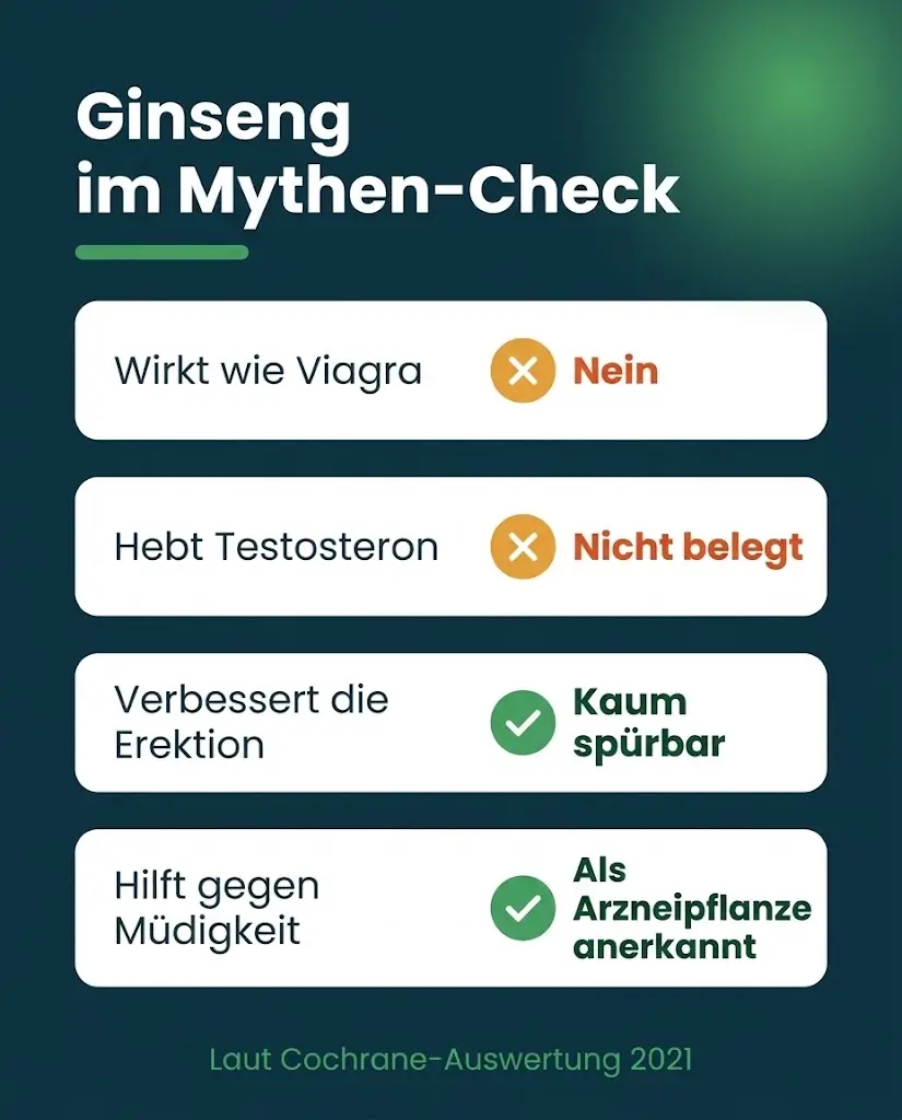 Ginseng als Potenzmittel im Mythen-Check als Infografik mit Viagra, Testosteron, Erektion und Müdigkeit