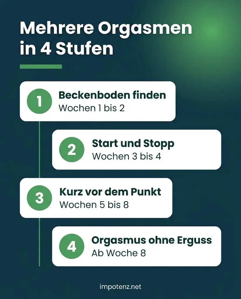 Infografik mehrere Orgasmen beim Mann in vier Trainingsstufen vom Beckenboden bis zum Orgasmus ohne Erguss