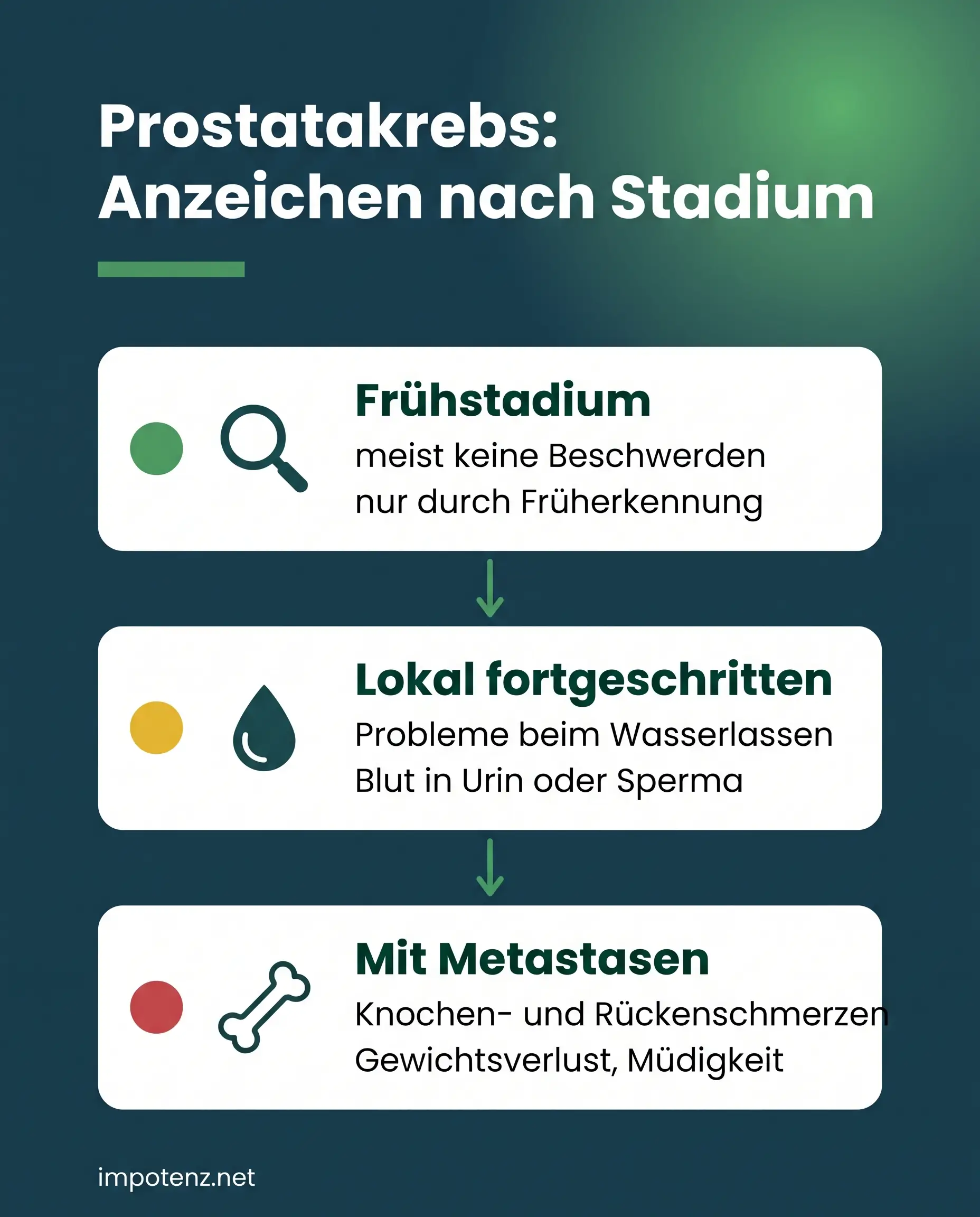 Infografik: Anzeichen von Prostatakrebs im Frühstadium, lokal fortgeschritten und mit Metastasen