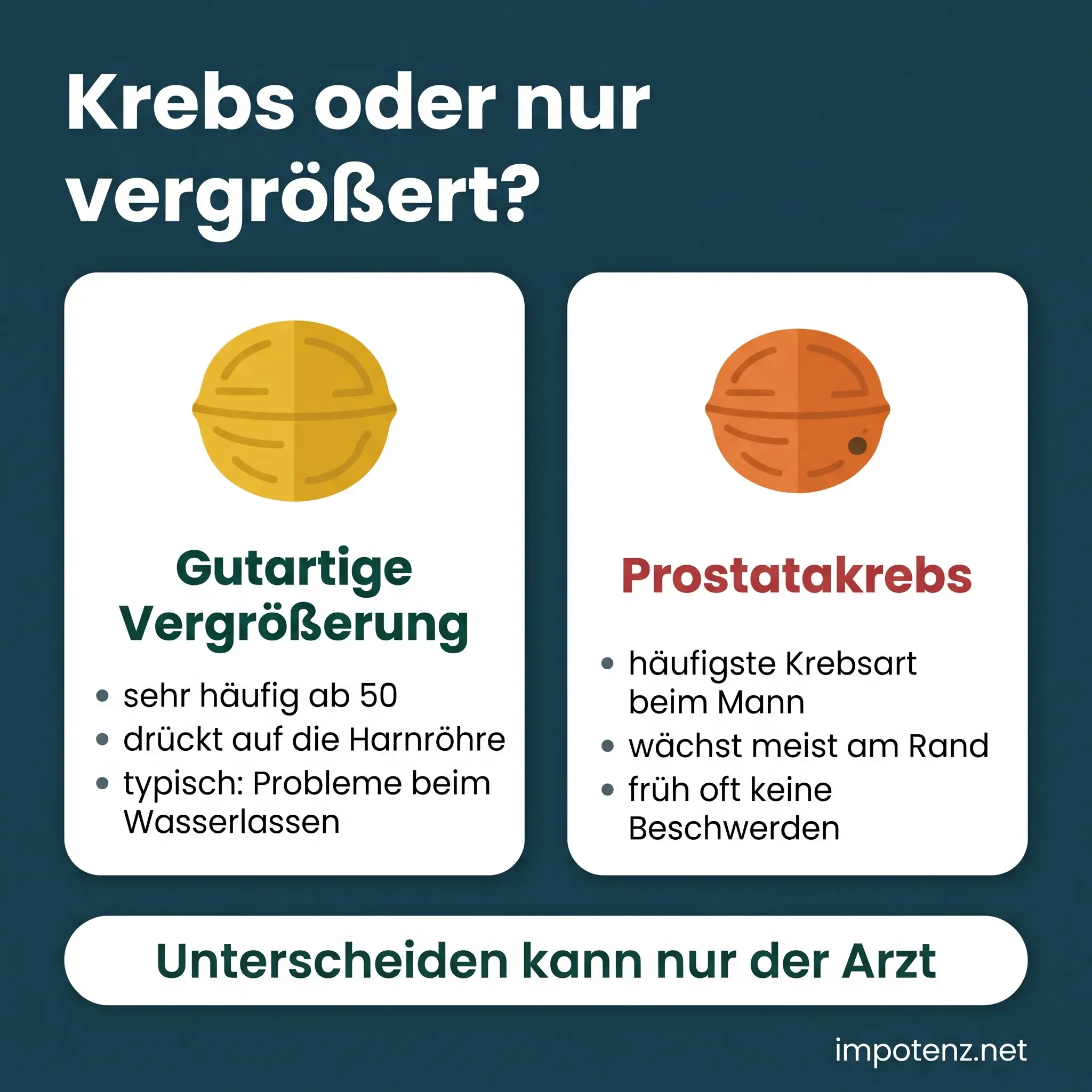 Vergleich: gutartige Prostatavergrößerung oder Prostatakrebs