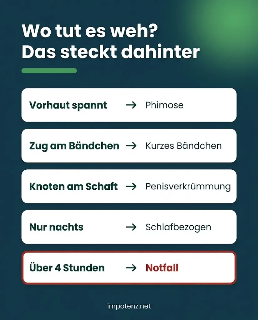 Infografik schmerzhafte Erektion Ursachen: Vorhaut spannt, Zug am Bändchen, Knoten am Schaft, nur nachts, über 4 Stunden Notfall