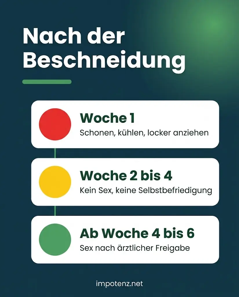 Infografik Sex nach der Beschneidung als Ampel: Woche 1 schonen, Woche 2 bis 4 kein Sex, ab Woche 4 bis 6 nach Freigabe