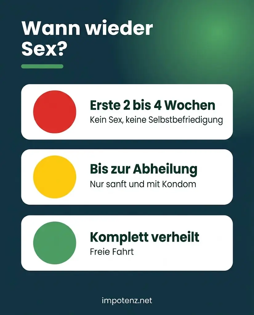 Infografik Sex nach Penis-Piercing als Ampel: rot keine Selbstbefriedigung, gelb nur mit Kondom, grün komplett verheilt