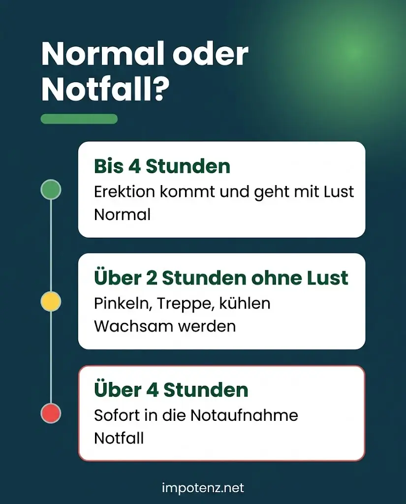Infografik Viagra Dauererektion: bis 4 Stunden mit Lust normal, über 2 Stunden ohne Lust wachsam werden, über 4 Stunden Notaufnahme