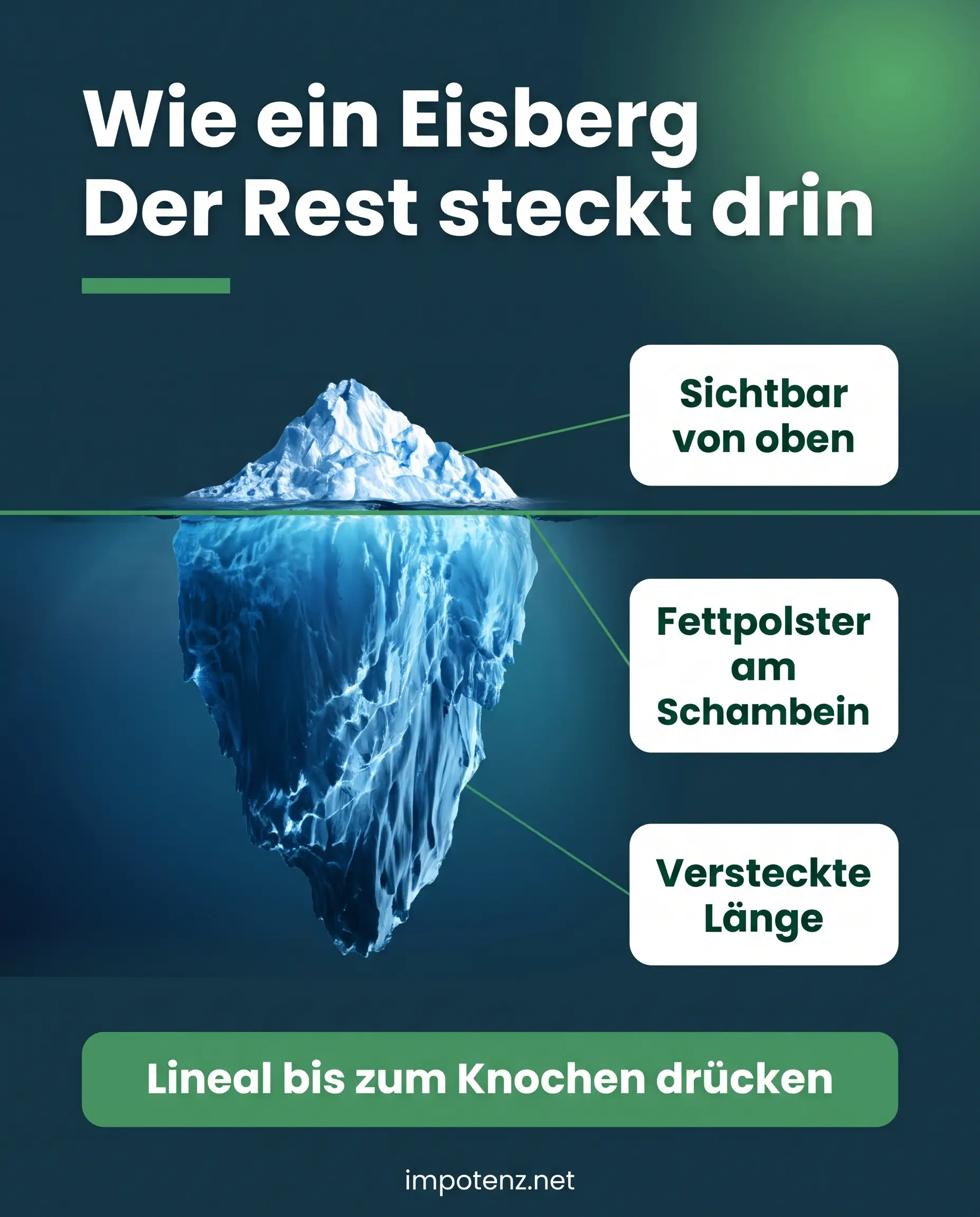 Infografik Lost-Penis-Syndrom: versteckte Penislänge im Fettpolster wie bei einem Eisberg